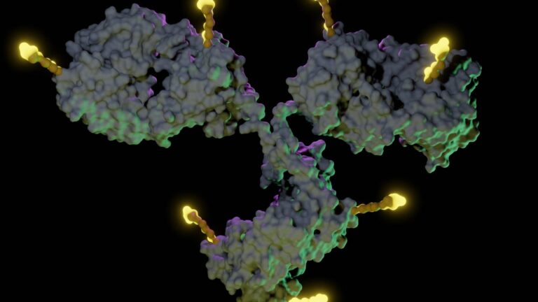 Targeted cancer drugs may replace chemo for some patients — and drugmakers say they're getting closer