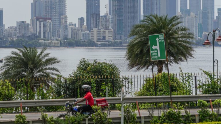 Fund managers are pouring money into emerging markets. Here’s where investors see opportunities