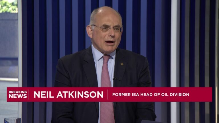 Iranian blockade on the Strait of Hormuz would be 'economic suicide', says former IEA official