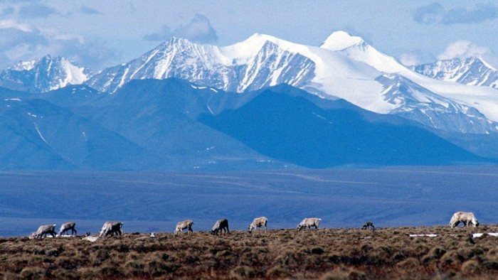 US moves to open Alaskan wilderness to oil drilling with Biden rule rollback