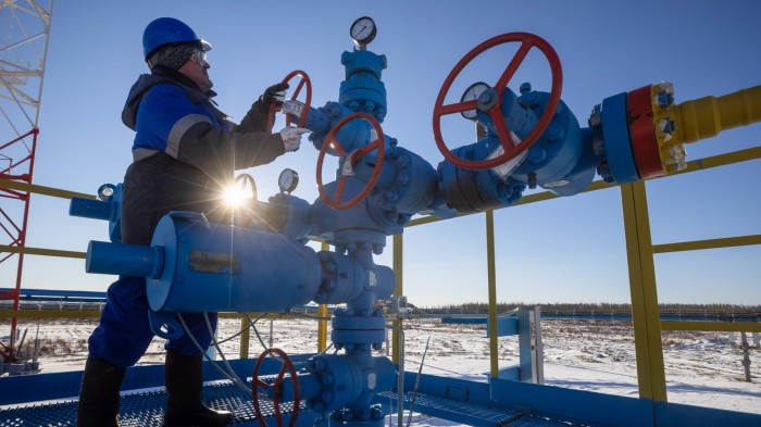 EU should be open to resuming Russian gas imports, says Austria