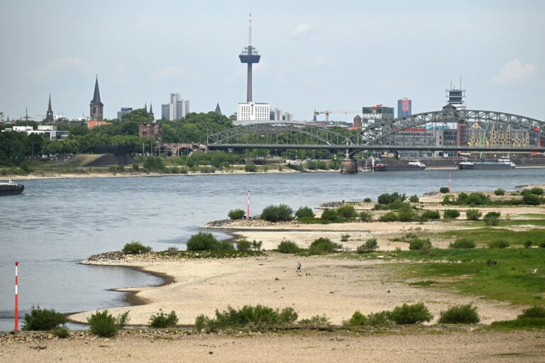 The partially dried-up river bed of the Rhine with the Cologne television tower in the background