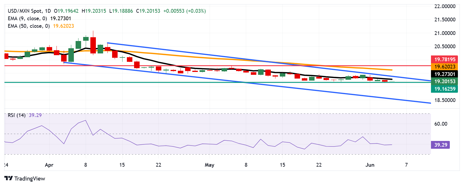 USD/MXN Price Forecast: Finds resistance around 19.20 ahead of nine-day EMA