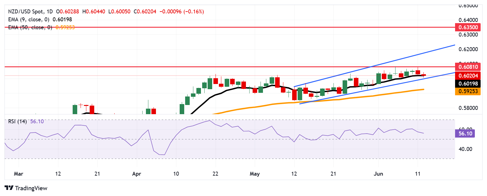 NZD/USD Price Forecast: Tests nine-day EMA support near 0.6000