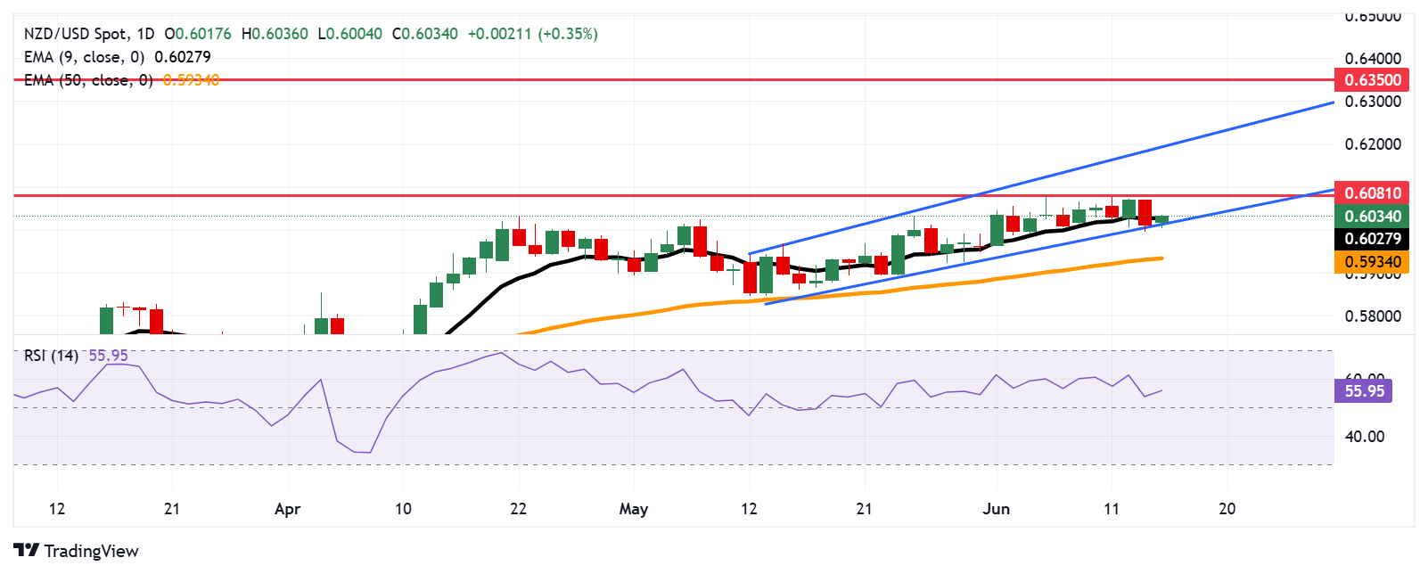 NZD/USD Price Forecast: Advances toward 0.6050 after breaking above nine-day EMA
