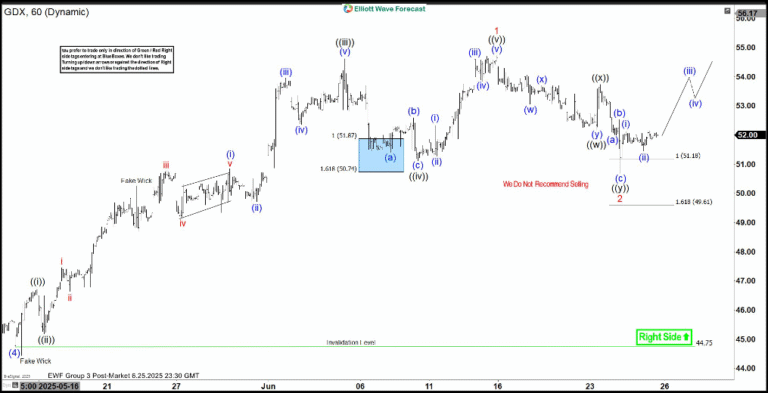 GDX climbs higher after three wave decline [Video]