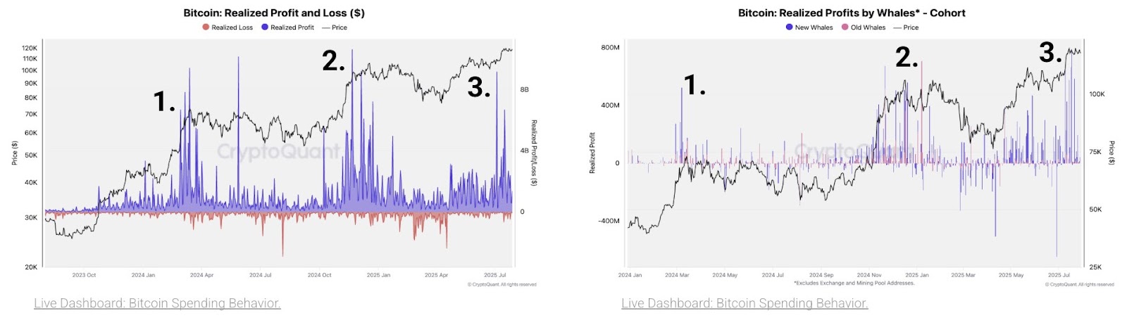 New whales trigger Bitcoin’s third profit-taking wave of current cycle