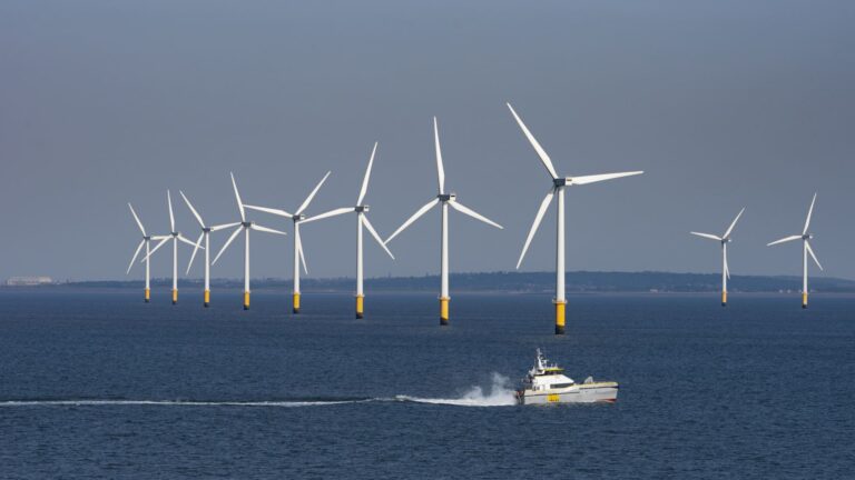 European renewable stocks to watch as Trump's megabill hangs in the balance