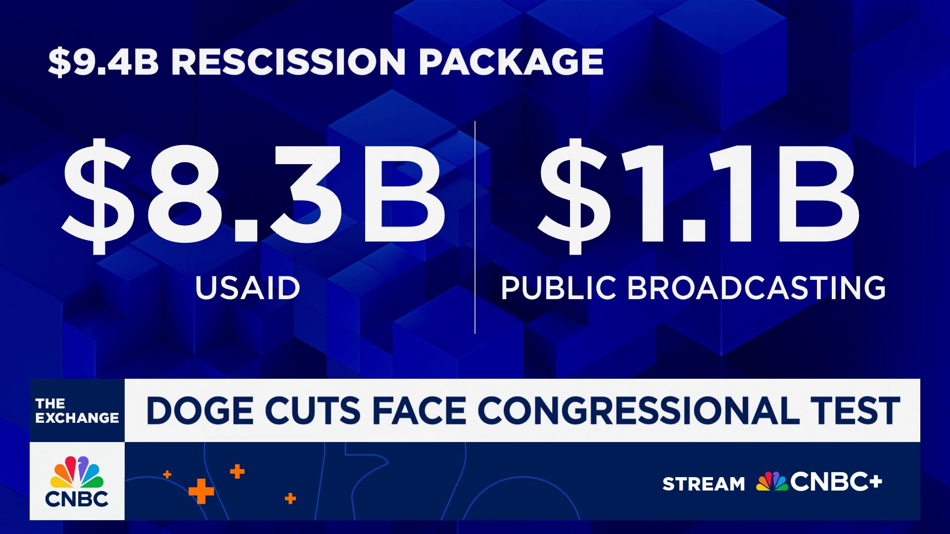 DOGE cuts face congressional test. Here's a breakdown