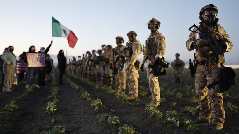 Cannabis farm worker in California dies day after chaotic federal immigration raid