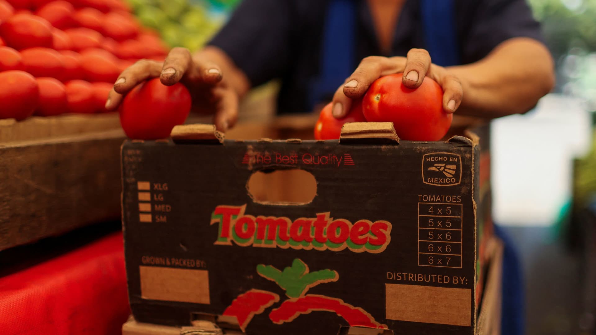 Greenhouse growers take aim at Trump's 'tomato tax' on Mexican imports