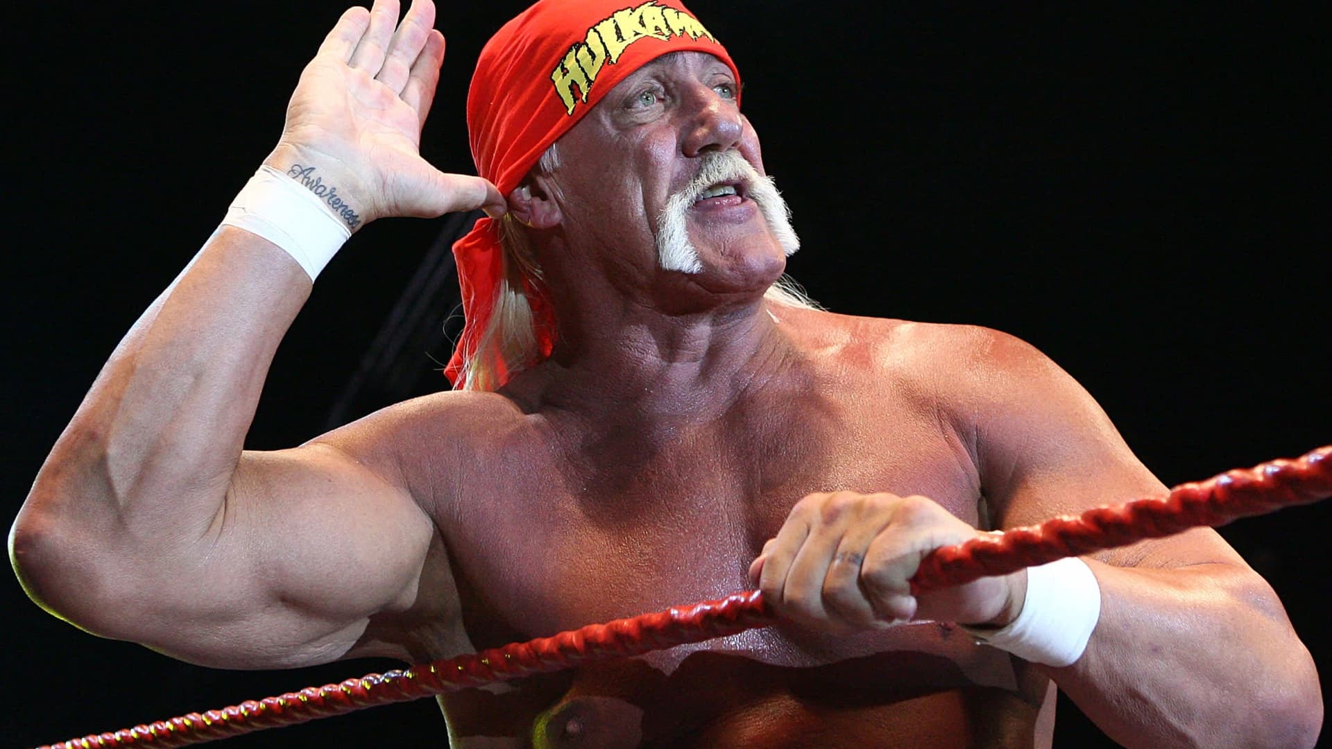 Hulk Hogan, pro wrestling icon and pop culture mainstay, dies at 71