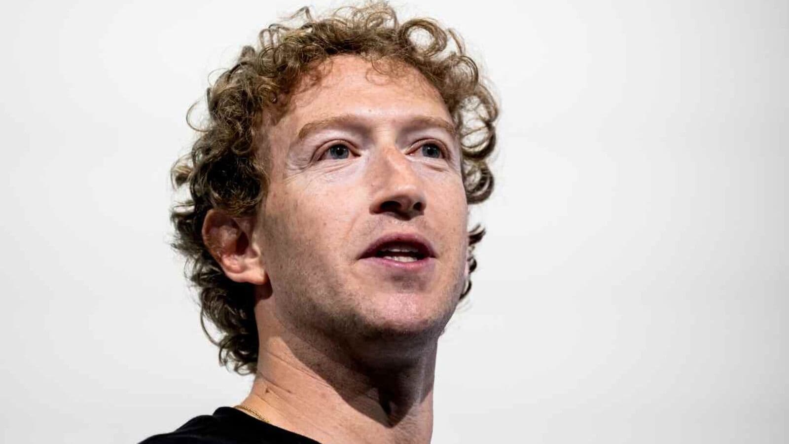 Meta stock price rises for a second day, jumps 11%: What's fuelling the rally?