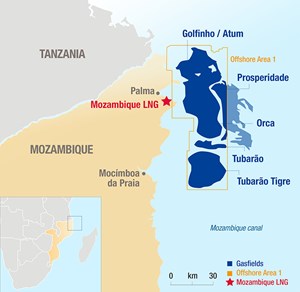 Mozambique President urges TotalEnergies LNG restart despite risks