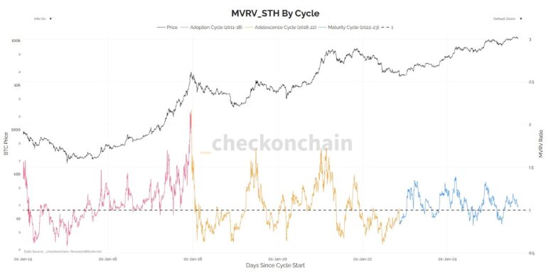 Bitcoin market cycles not anchored around halvings: Analyst