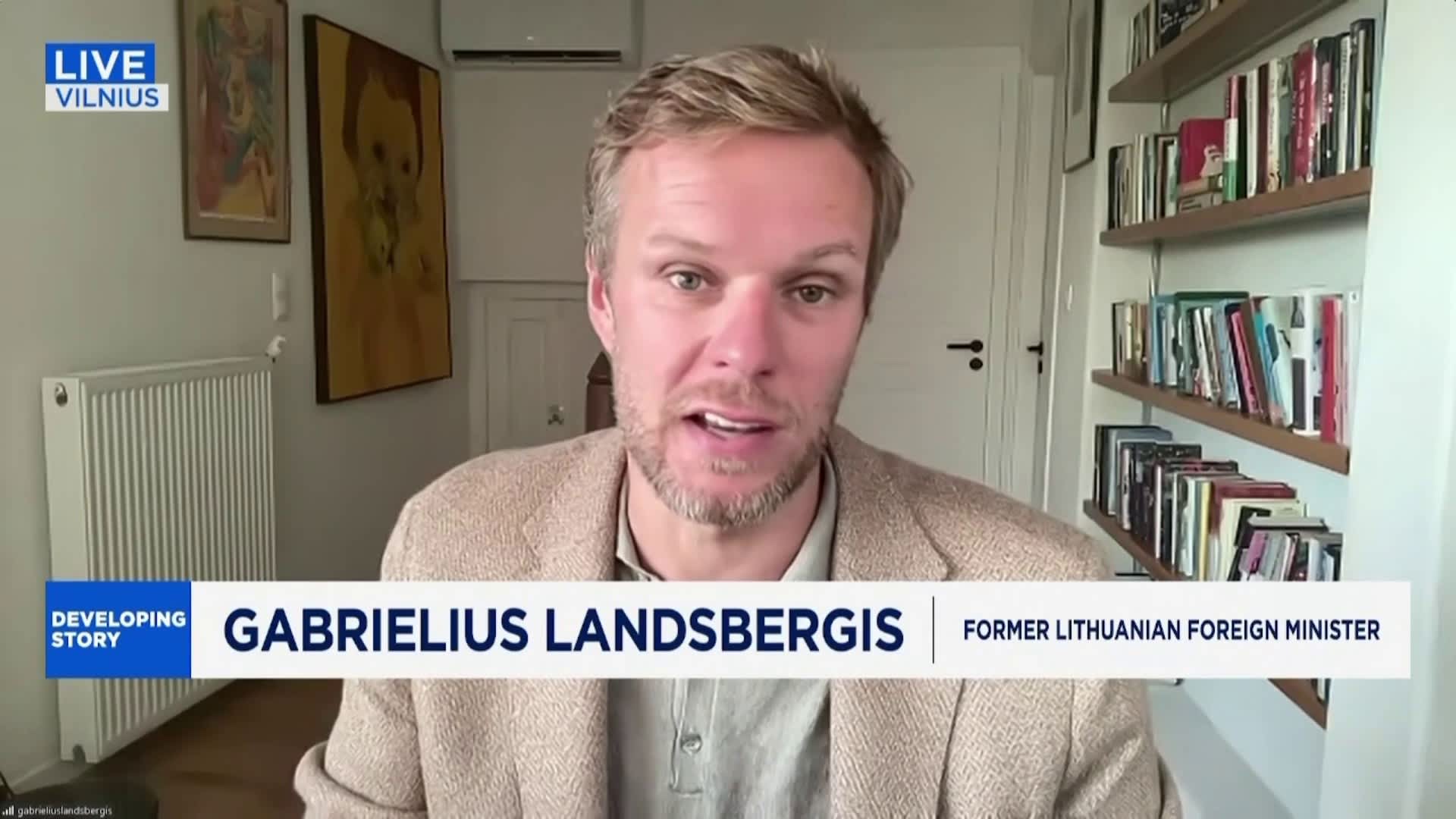 'We don't have to ask Putin for permission to station troops in Ukraine', says former Lithuanian foreign minister