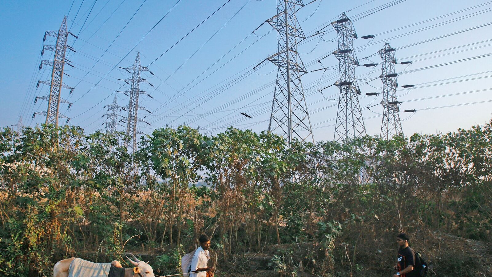 PFC Q1 net profit rises 21% to  ₹4502 crore: Declares dividend; Share price gains