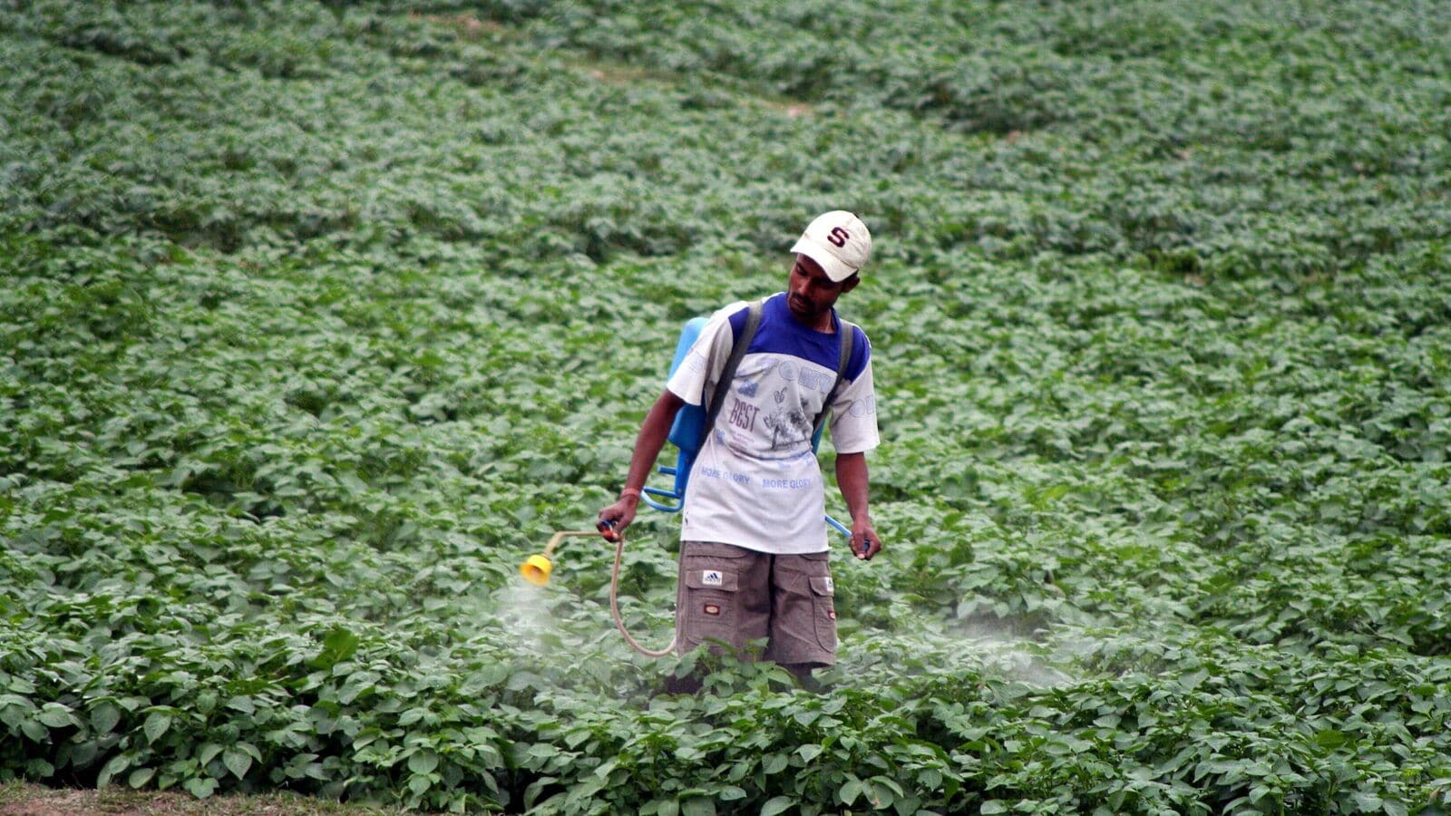 Here are three agrochemical stocks you can add to your watchlist