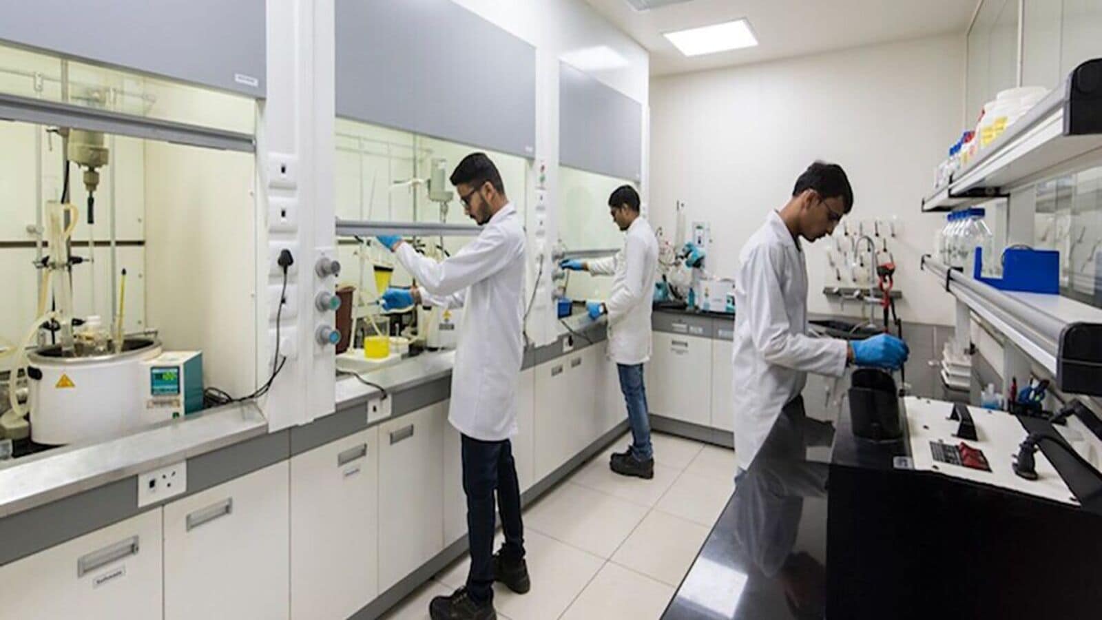 Anlon Healthcare IPO allotment to be fixed soon. Latest GMP, steps to check share allotment status online