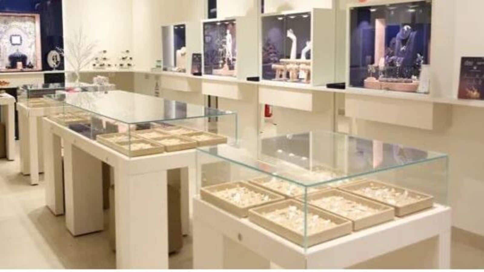BlueStone Jewellery IPO day 1: GMP, review, subscription status, other details. Good or bad for investors?