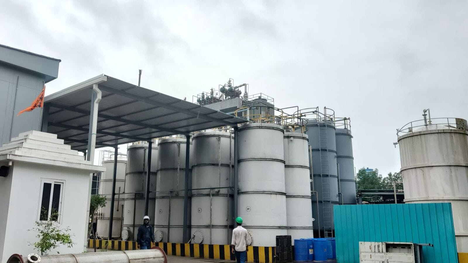 Snehaa Organics IPO Day 1: GMP, subscription status, price band, other details of NSE SME IPO