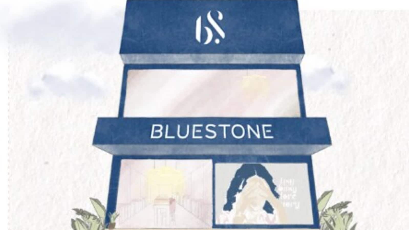 BlueStone Jewellery IPO: Price band set at  ₹492-517 per share; check issue details, key dates, more