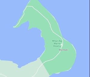 Nigeria's First E&P eyes gas exploration in Tanzania