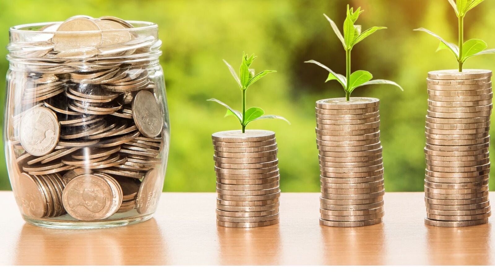 Small-cap stock under  ₹50 declares record date for dividend payment; details here
