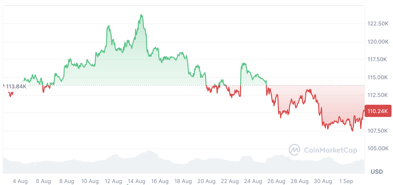 Bitcoin will soar to $150K if we slay these 2 whales: David Bailey