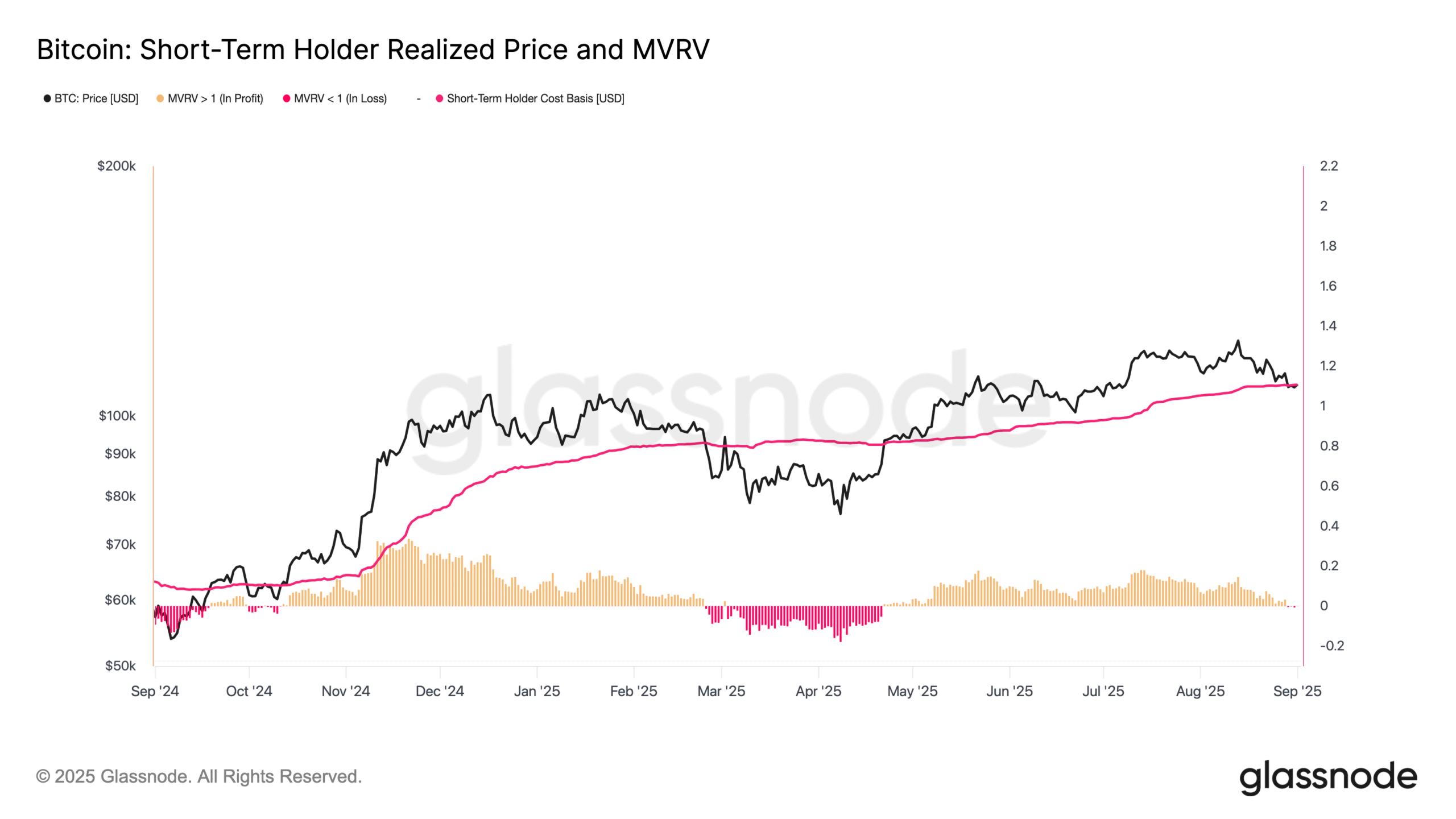 Bitcoin short-term holders spark rare BTC price bottom signal at $107K