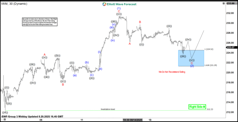 iShares Russell 2000 ETF (IWM) – Elliott Wave buying the dips at the blue box