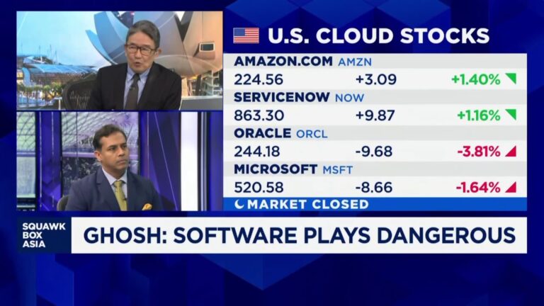 AI is turning the software industry into a 'dangerous place to be in': Portfolio Manager