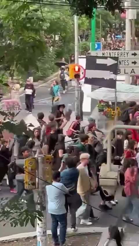 Overtourism protesters march in Mexico City, imploring rich people to 'get out'