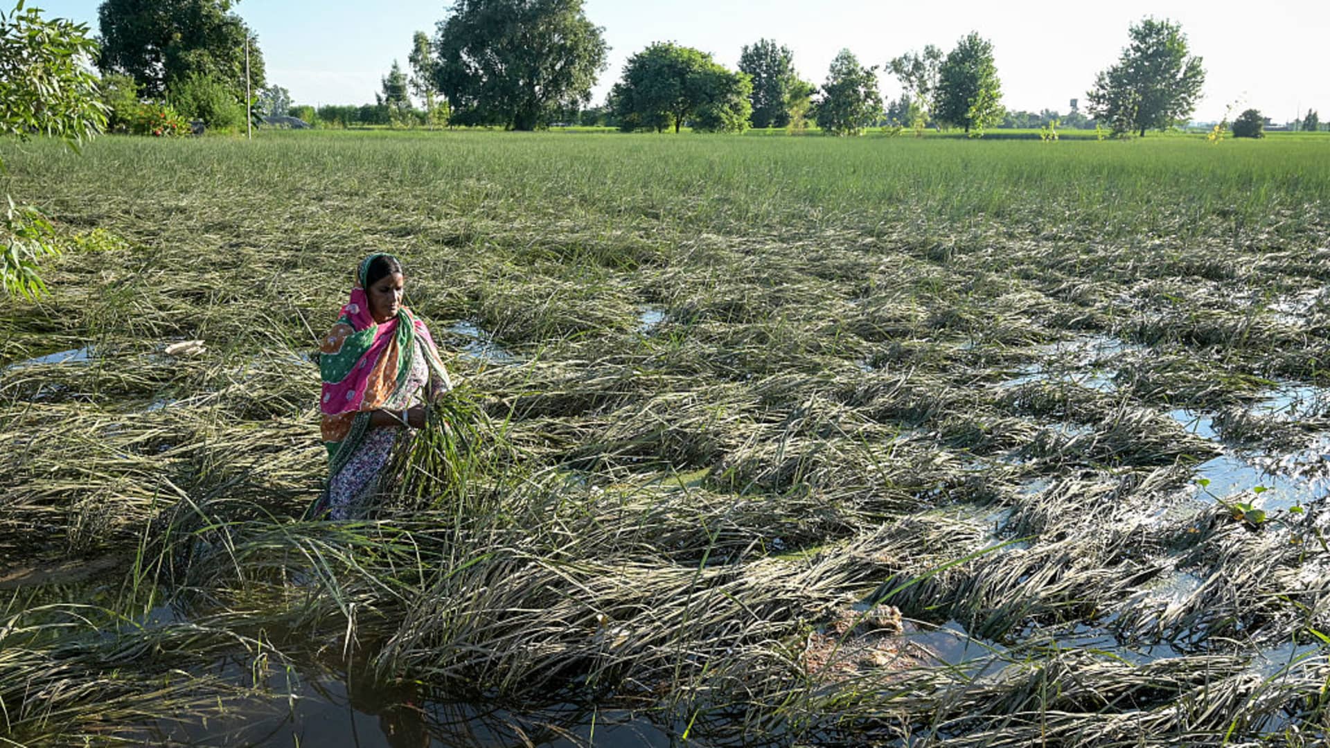 Floods, heavy rains unlikely to push India's inflation higher after price growth accelerated last month