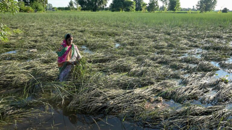 Monsoon mayhem: Is it time to worry about food inflation?