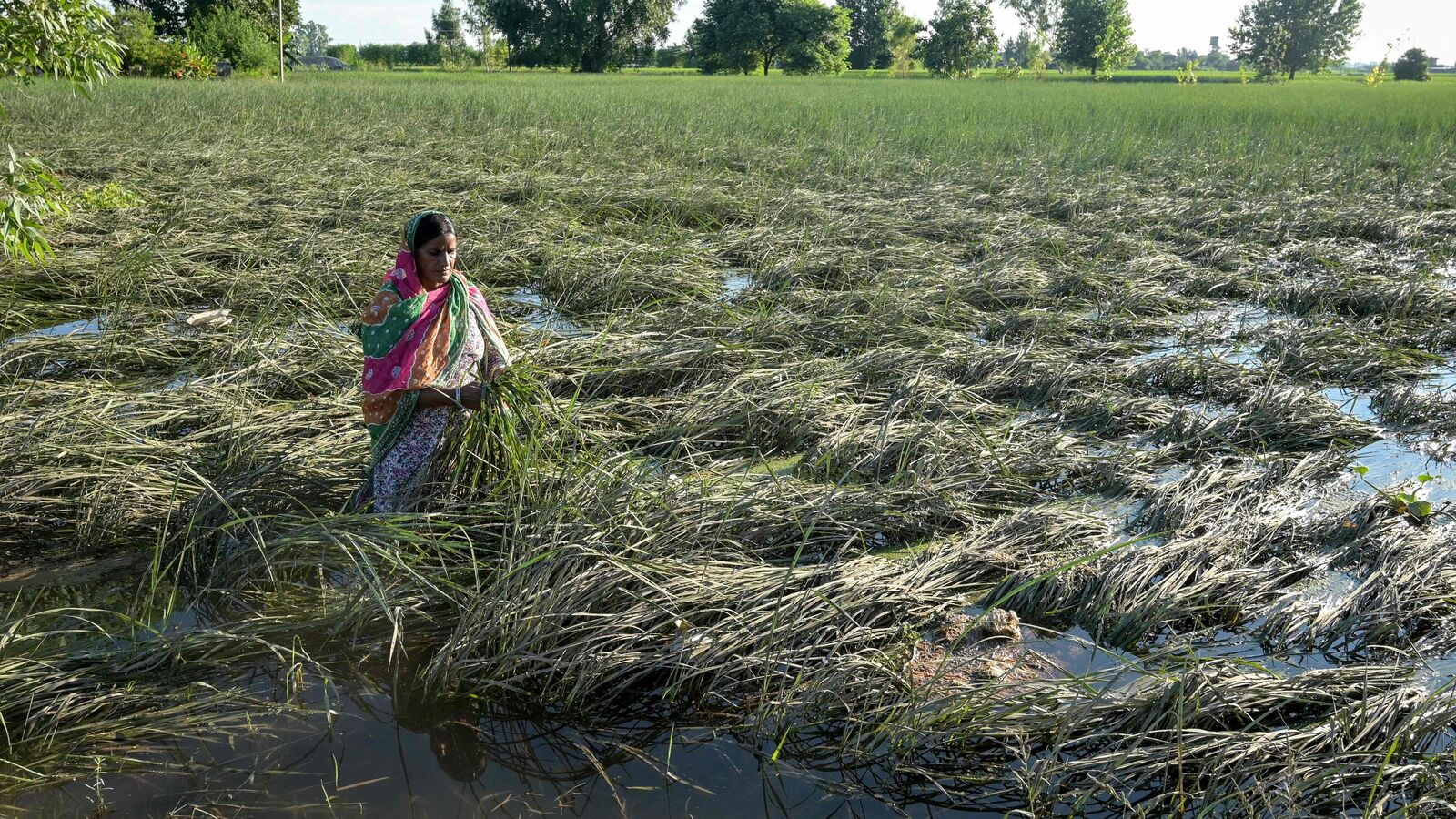 Monsoon mayhem: Is it time to worry about food inflation?