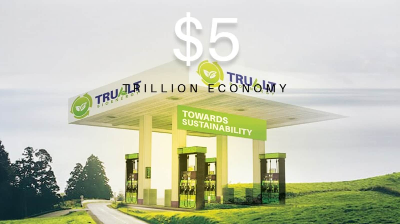 Trualt Bioenergy IPO allotment date likely today. GMP, steps to check share allotment status online