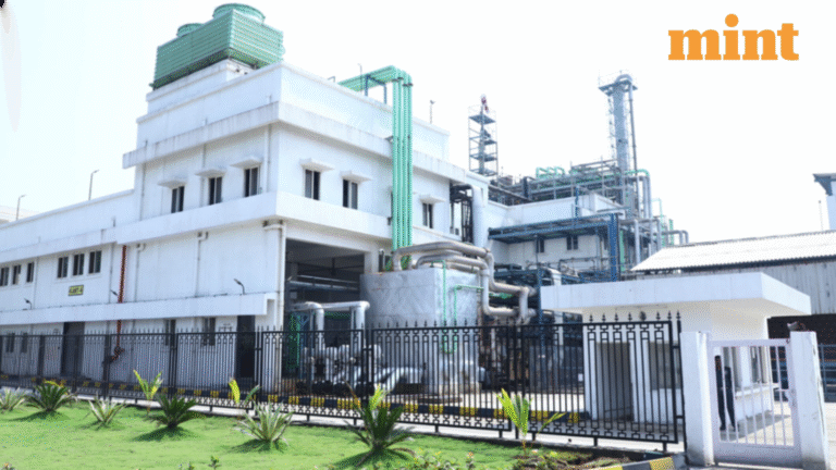 Blue Jet Healthcare investors await margin recovery amid rosy growth prospects