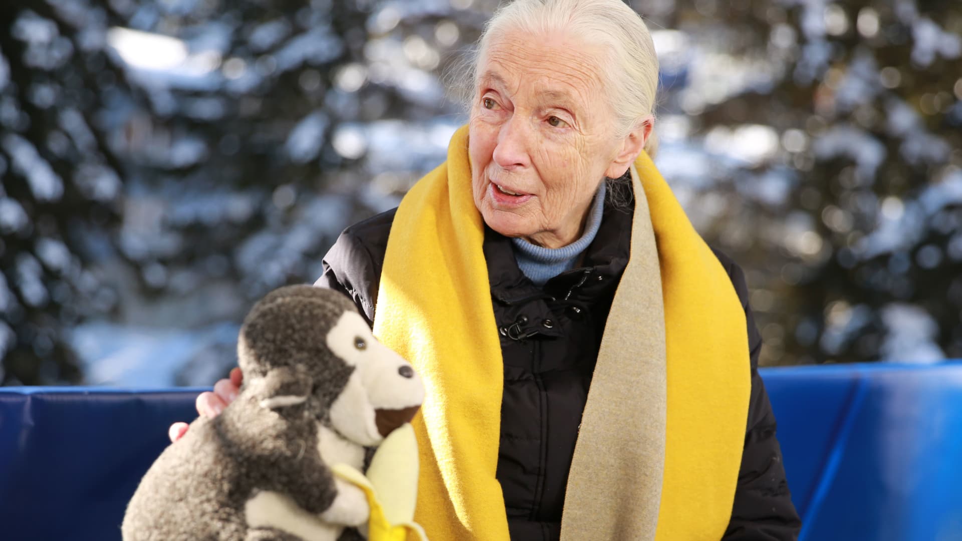 Jane Goodall, conservationist renowned for chimpanzee research and environmental advocacy, has died