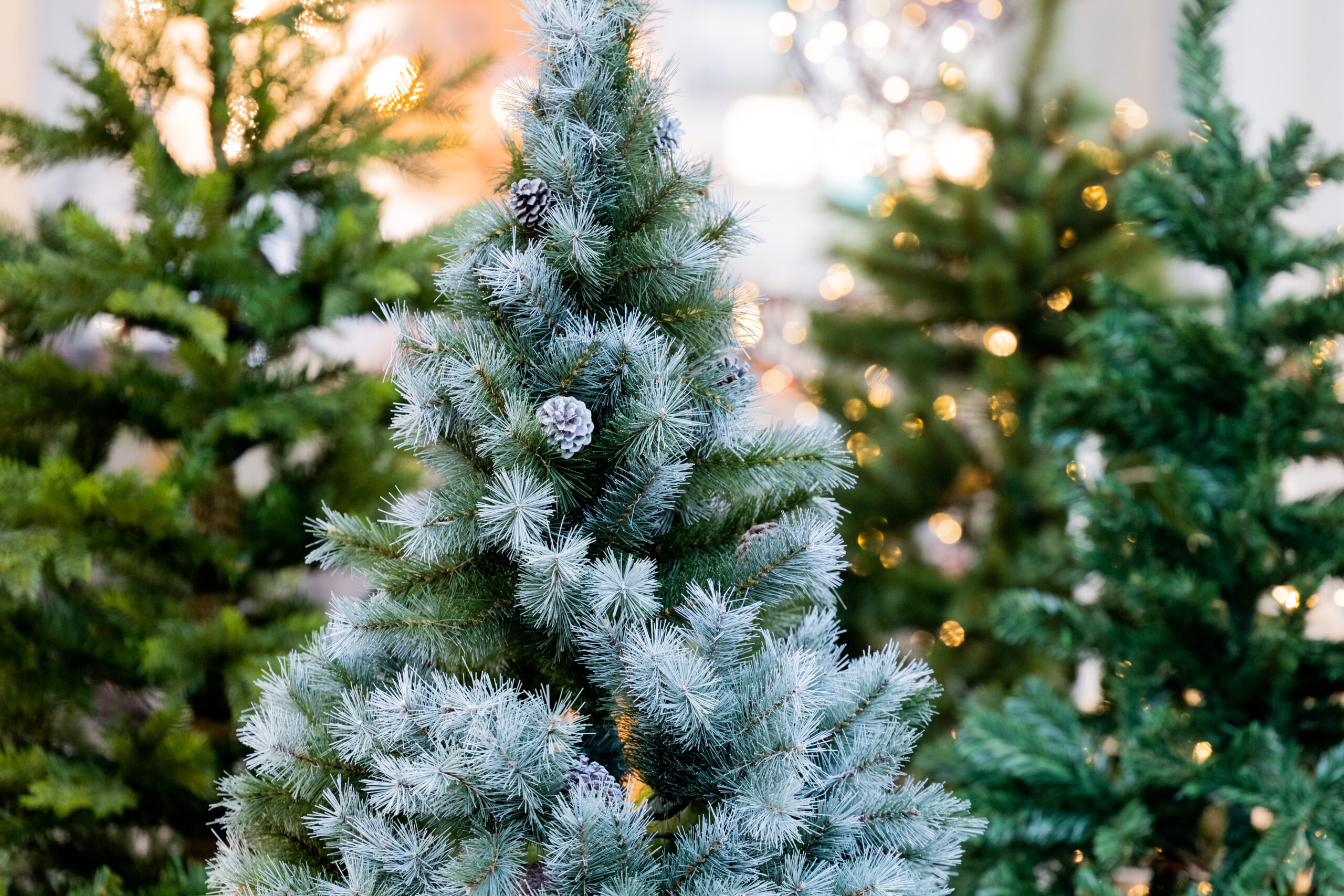 Why Americans could face an artificial Christmas tree shortage