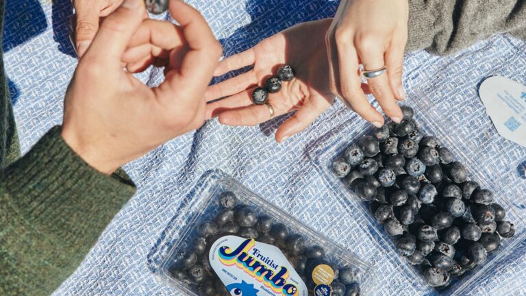 Ray Dalio, JPMorgan back billion-dollar berry startup Fruitist in new $150 million funding round