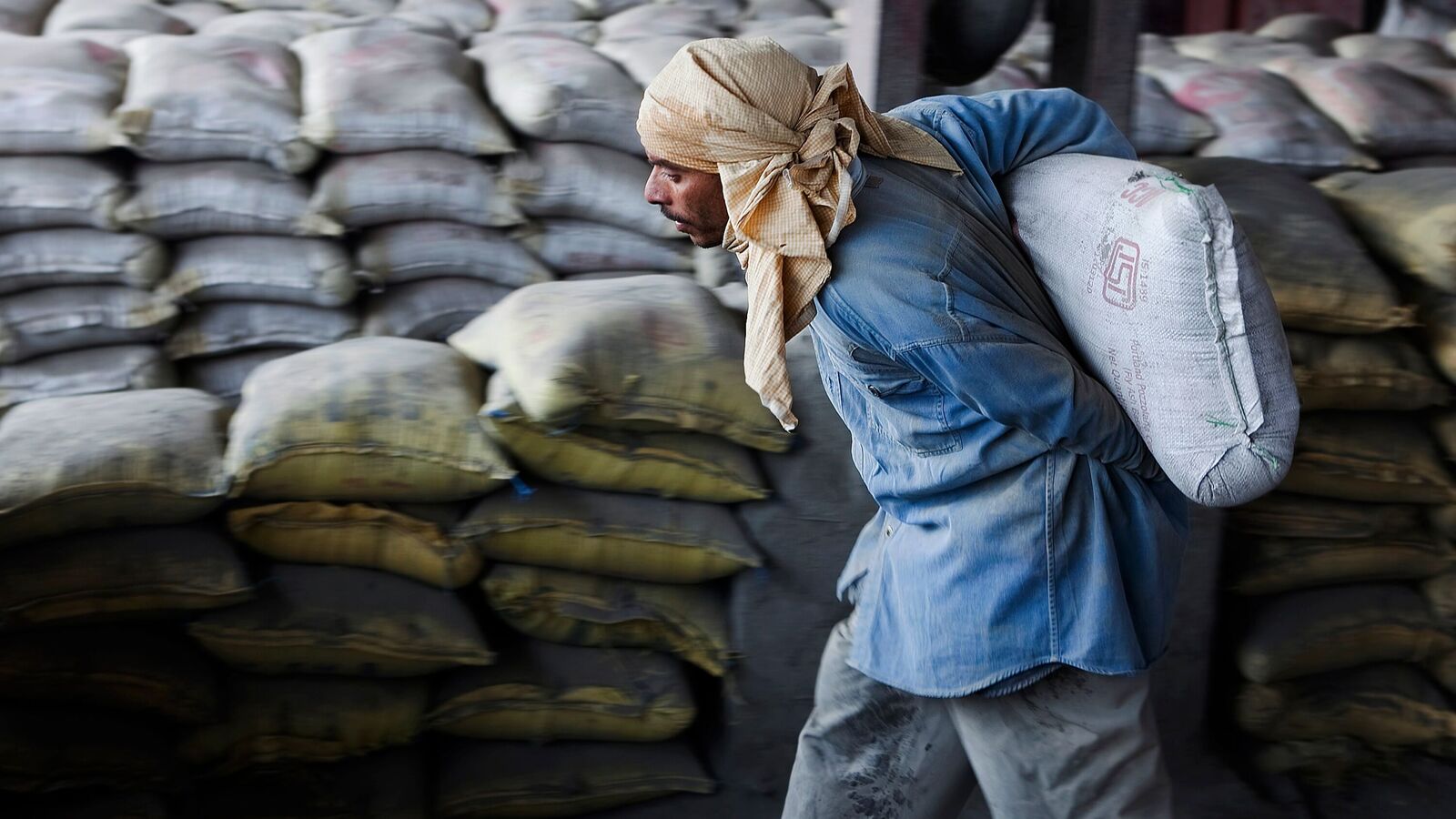 ACC Q2FY26 Results: Net profit surges to  ₹1,119 crore, revenue rises 30% YoY