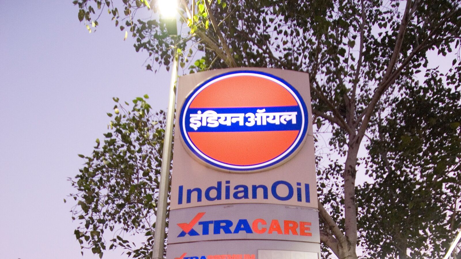 IOC share price jumps 1.5% to 52-week high after 42 times jump in Q2 profit. Time to buy? | Stock Market News