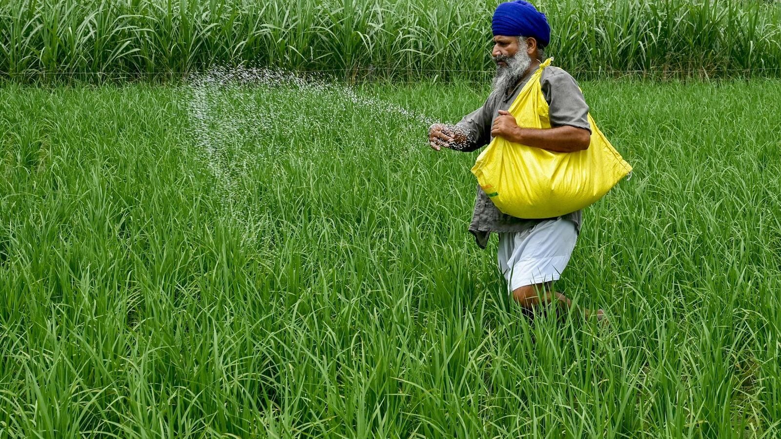 2900% rally in five years! Multibagger stock to be in focus on Monday; here's why