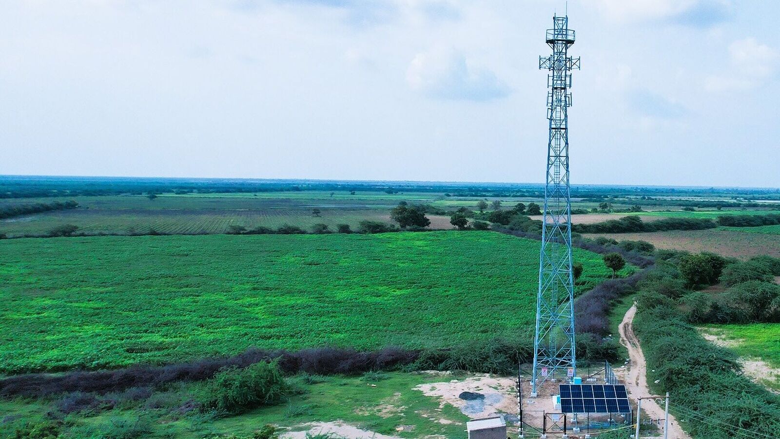 Pace Digitek IPO allotment date likely today. GMP, steps to check share allotment status online