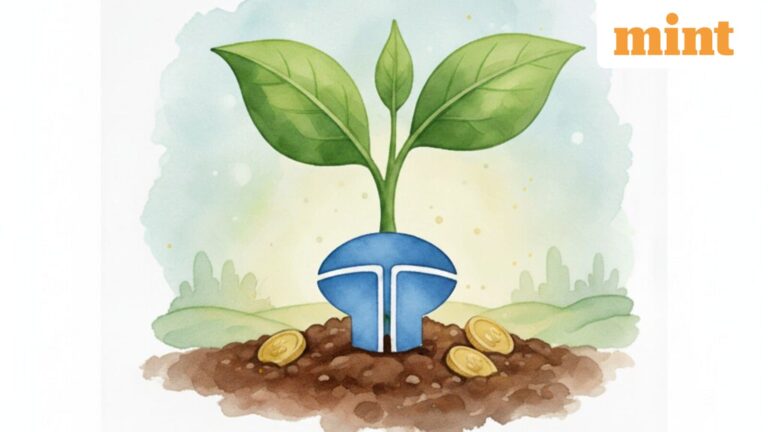 Tata Investment Corp. rallies big—what investors should watch next