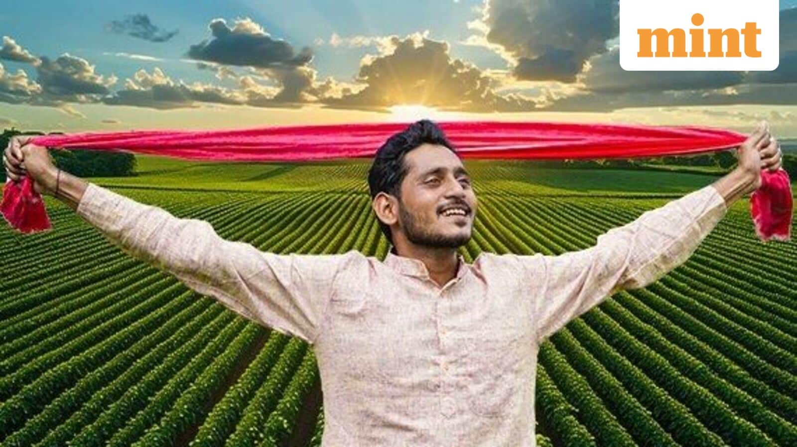 Advance Agrolife IPO allotment to be finalised today: Check GMP, step-by-step guide to check allotment status online | Stock Market News