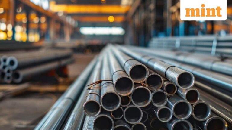 BMW Ventures to debut on exchanges today; GMP signals muted listing. Check price and other key details here