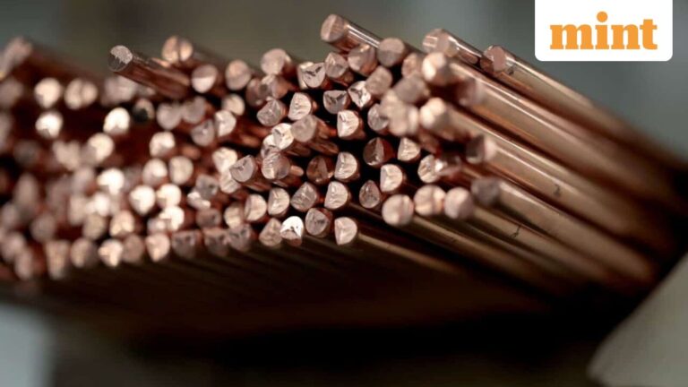 Tata Steel, NALCO to Hindalco: Why is Indian metal stocks skyrocketing today? EXPLAINED
