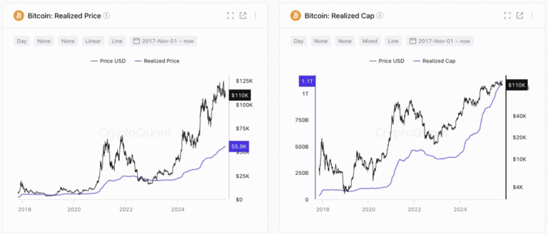 Bitcoin 'money vessel' amasses $8B but recovery lacks ETF inflows